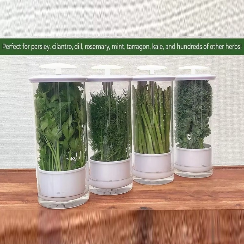 Wadah Penyimpanan Herbal, Kota - Kitchen Gadgets Organizer ulasan dan harga